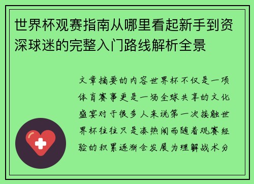 世界杯观赛指南从哪里看起新手到资深球迷的完整入门路线解析全景